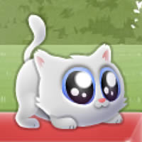 Extreme Kitten || 60,042x played